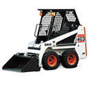 Bobcat